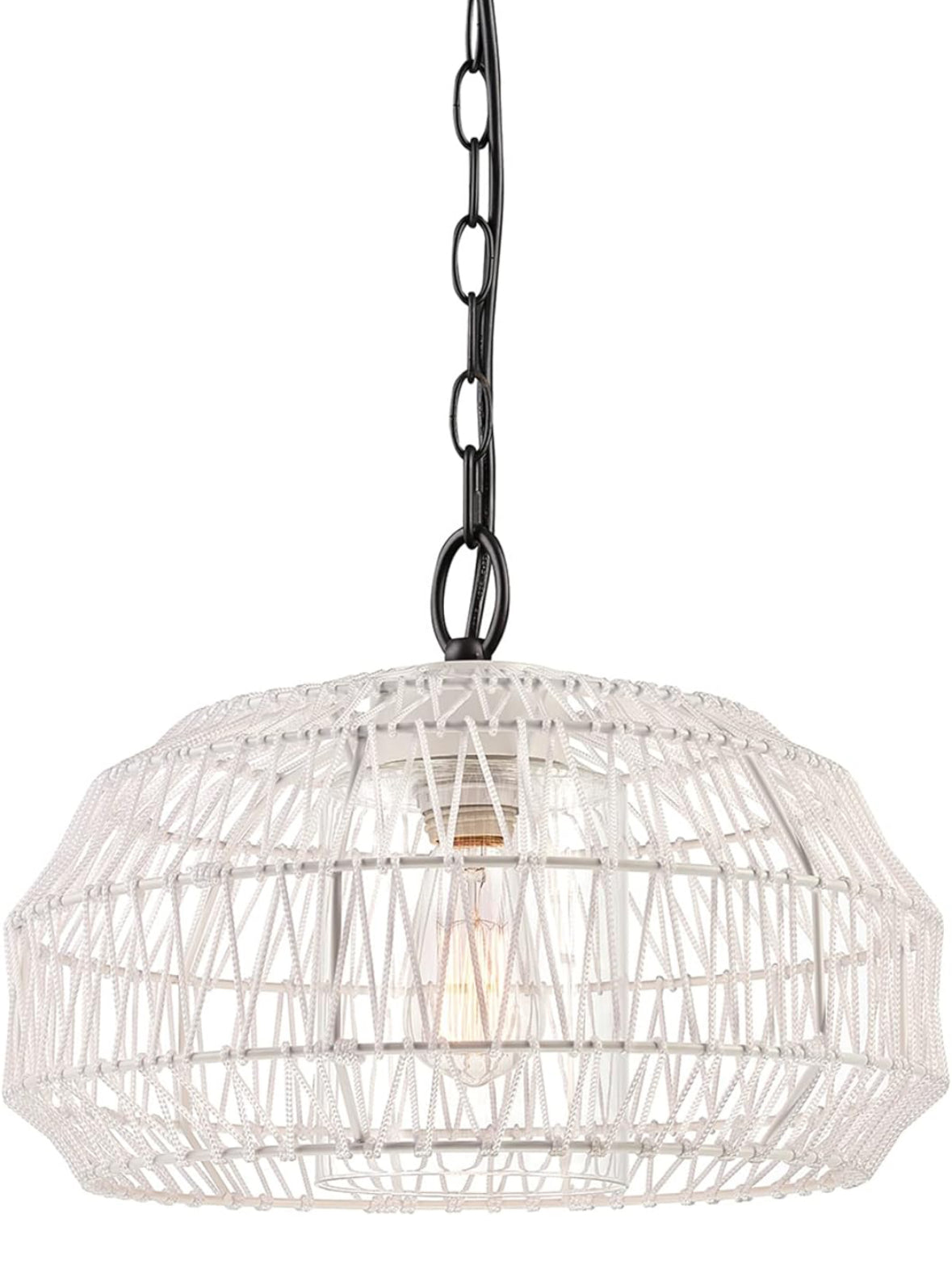 Outdoor Plug in Pendant Light