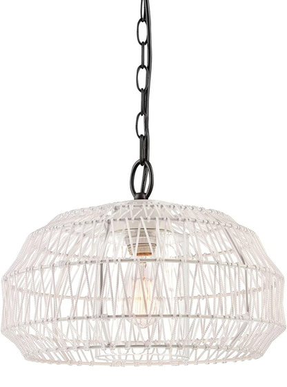 Outdoor Plug in Pendant Light